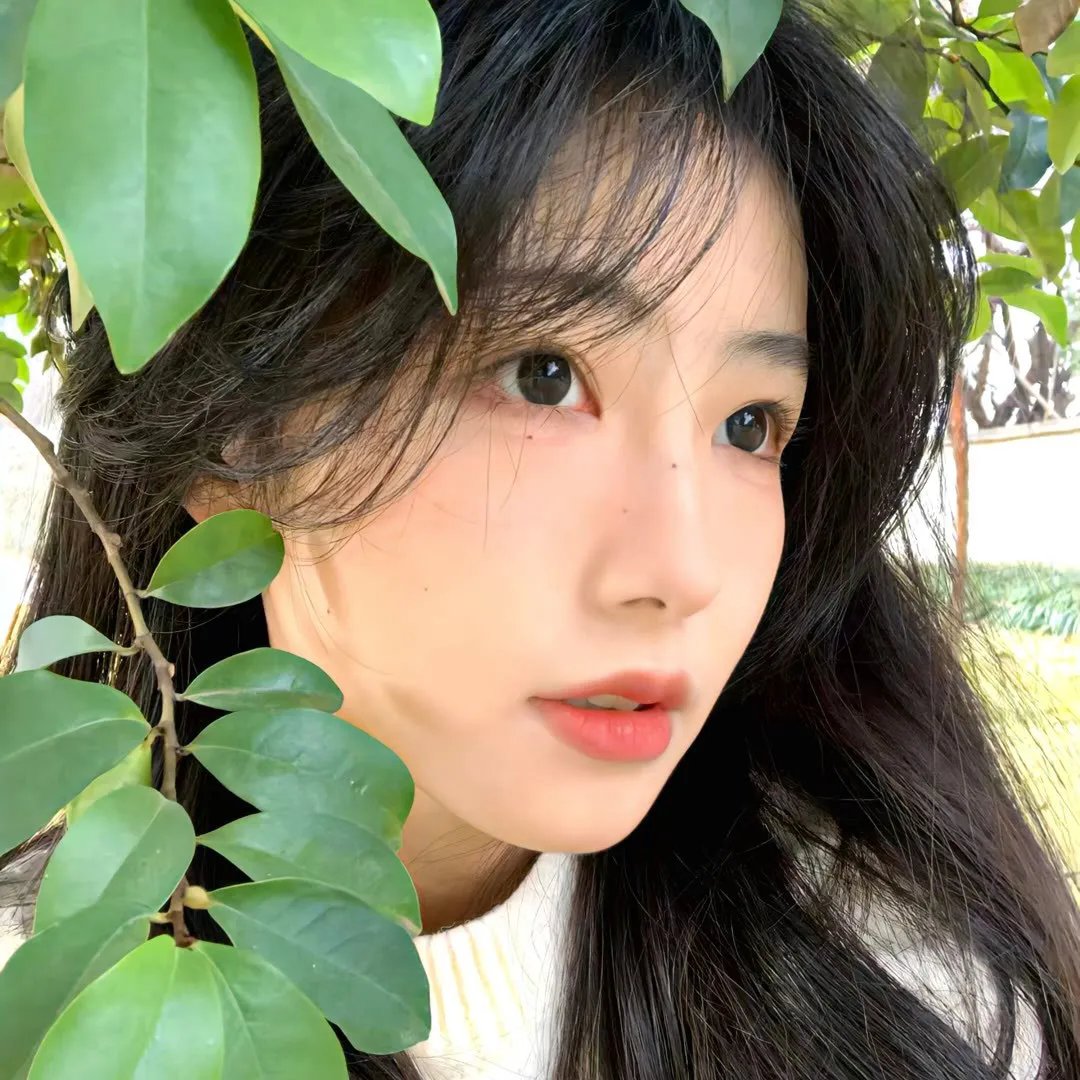 碧可南部